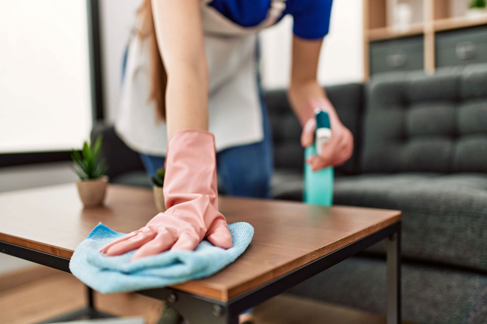 Standard cleaning service in Chicago